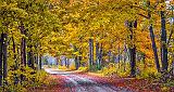 Autumn Back Road_P1200254-6